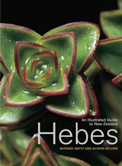 Hebes, An Illustrated Guide to New Zealand Hebes