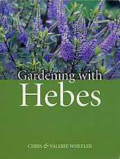 Gardening with Hebes