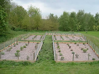 Hebe beds on 9th May 2004